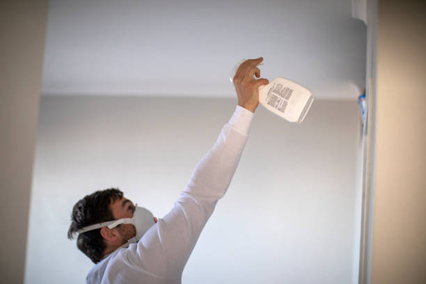 Best Fast Mold Removal  in Avonia, PA